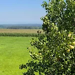 Apartment Bodensee