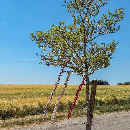 Bodensee * Deggenhausertal
